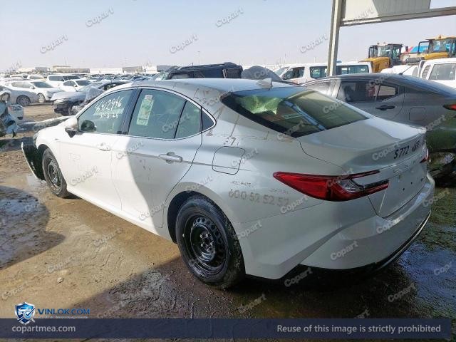 Auction photo
