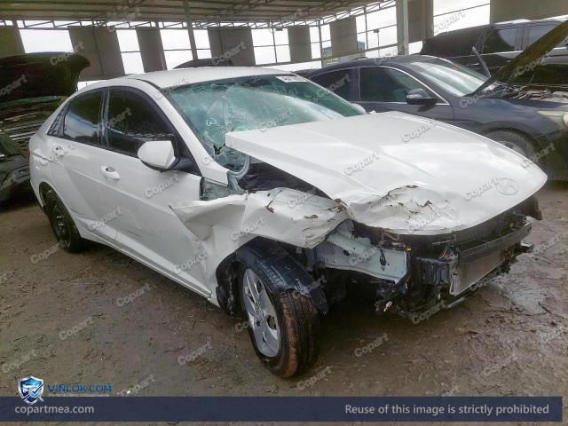 Auction photo