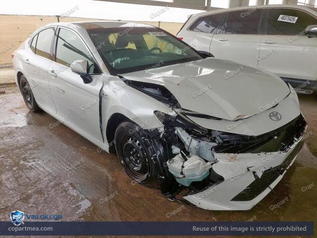 Auction photo