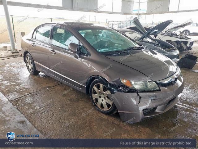 Auction photo