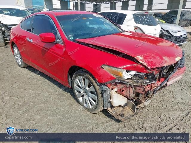 Auction photo