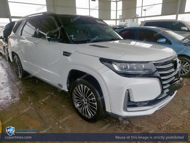 2022 CHAN CS95 — Lot 46413706 auction photo