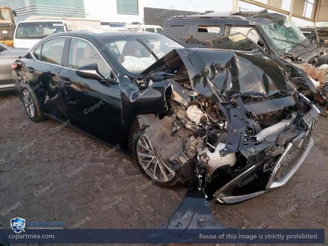 Auction photo
