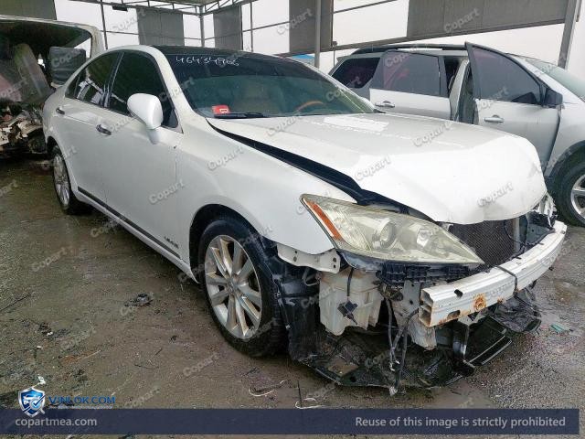 Auction photo