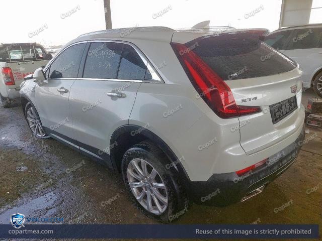 Auction photo