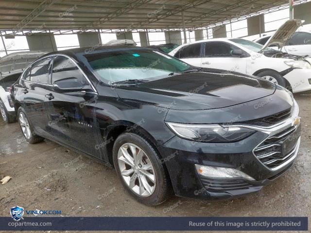 Auction photo