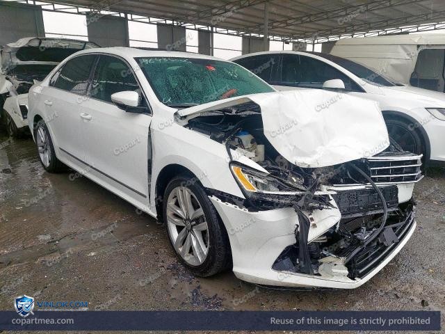 Auction photo