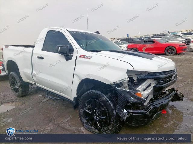 2023 CHEVROLET SILVARADO — Lot 46593256 auction photo