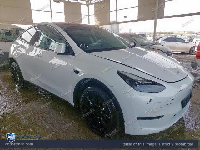 Auction photo
