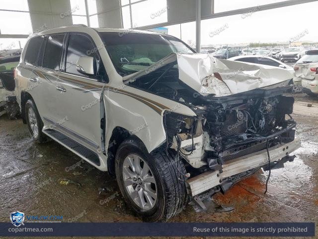 Auction photo