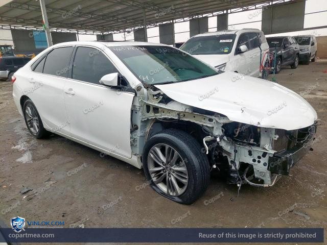 Auction photo