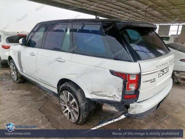 Auction photo
