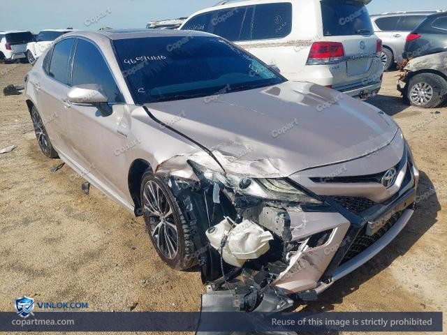 Auction photo