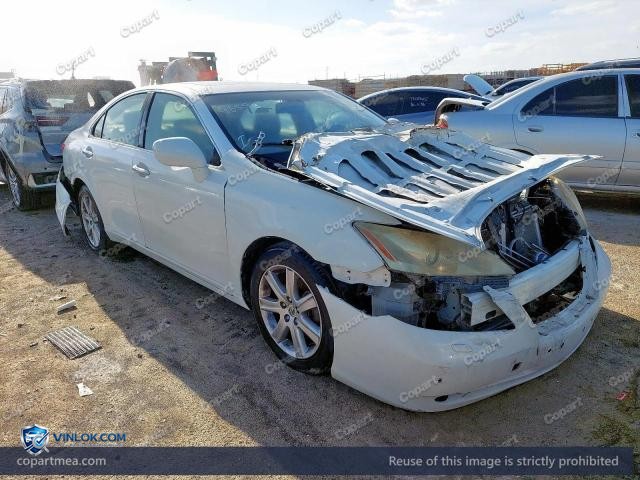Auction photo