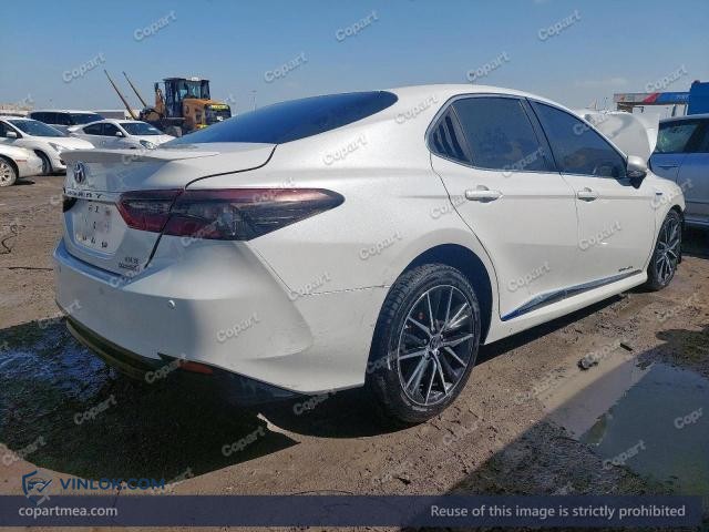 Auction photo