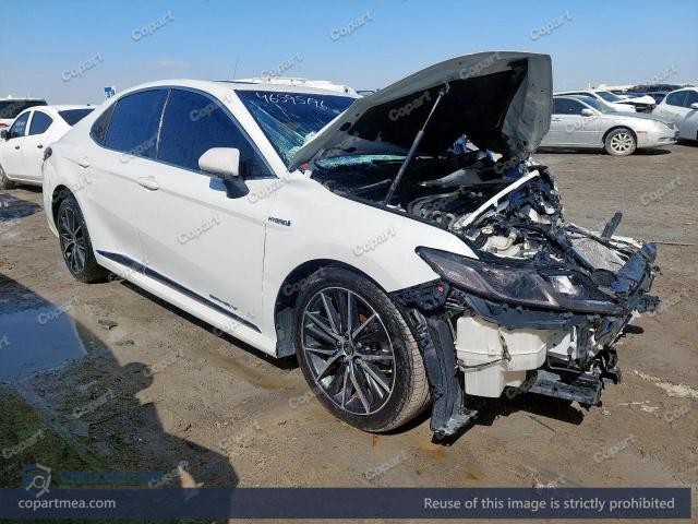 Auction photo
