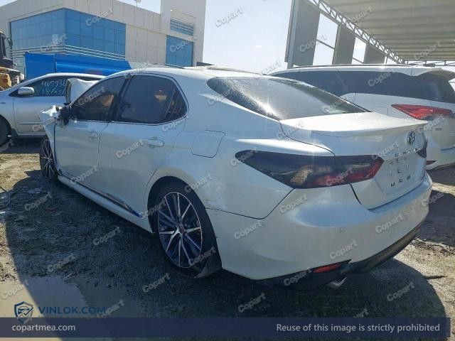 Auction photo
