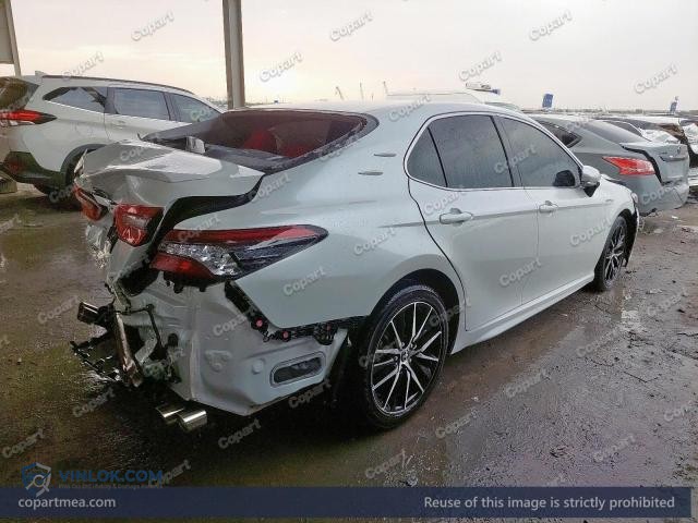Auction photo