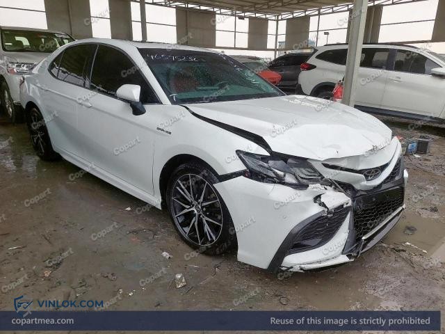 Auction photo