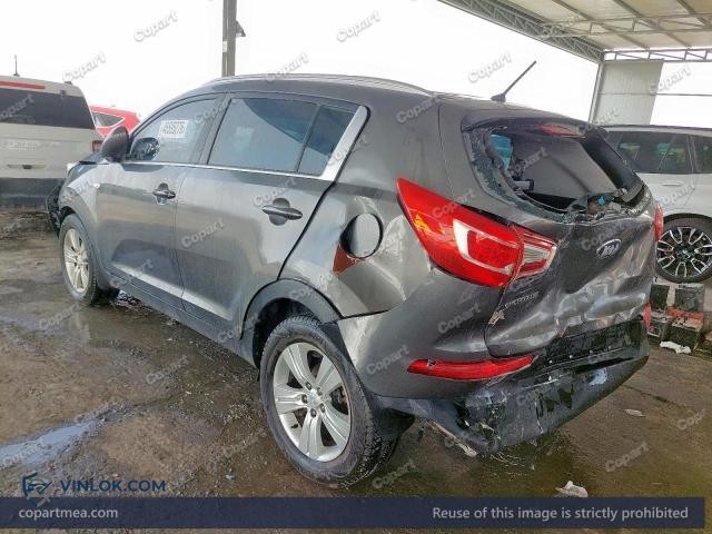 Auction photo