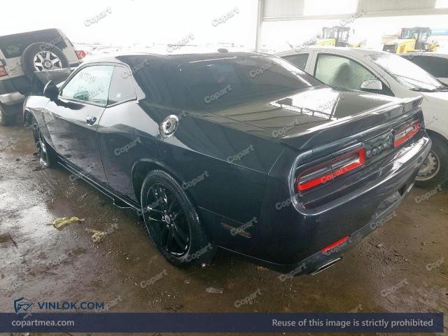 Auction photo