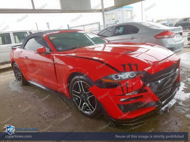 Auction photo