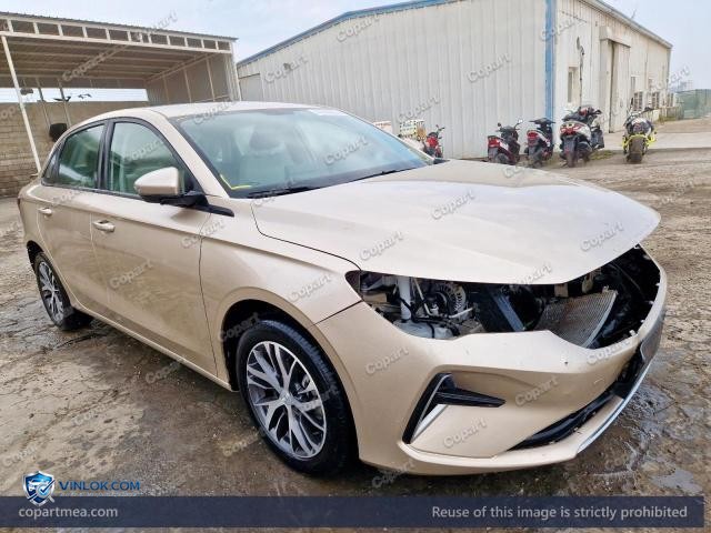 2025 GEEL EMGRAND — Lot 46598996 auction photo