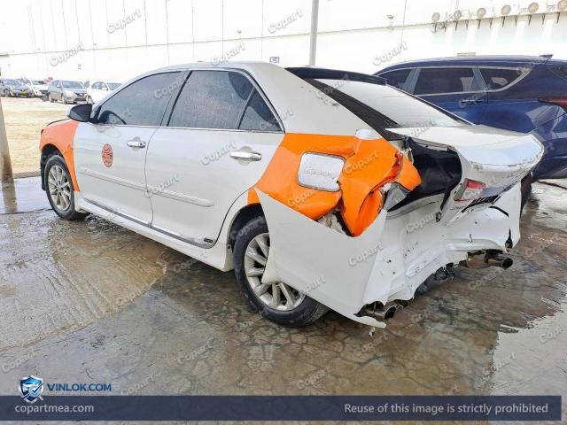 Auction photo