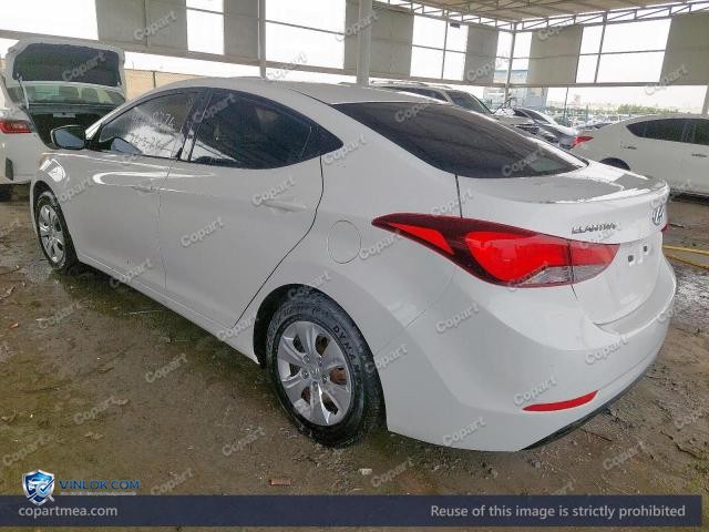 Auction photo
