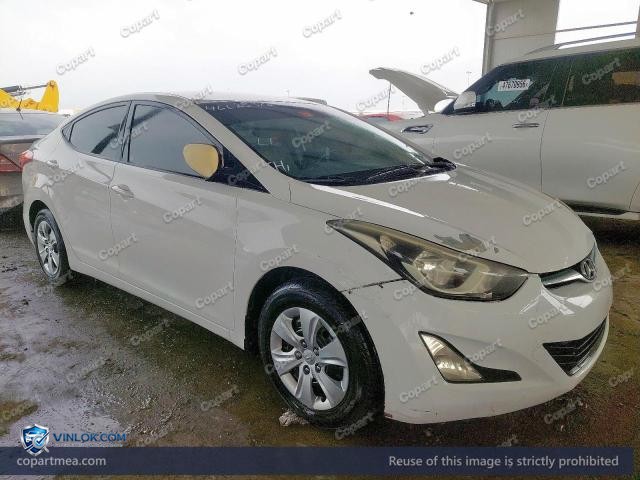 Auction photo