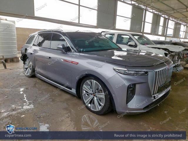 2023 HNGQ EHS9 — Lot 46772286 auction photo