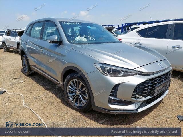 Auction photo