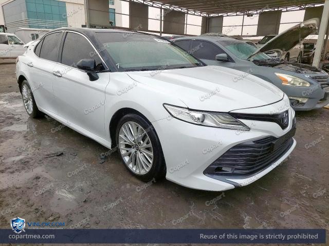 Auction photo