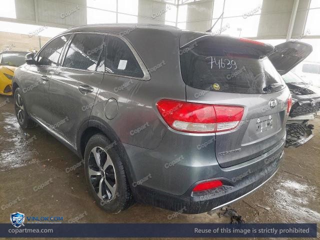 Auction photo