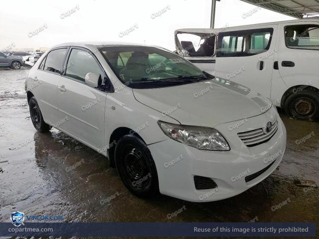 Auction photo