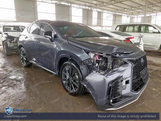 2025 LEXUS NX350 — Lot 46784746 auction photo