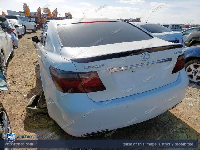 Auction photo