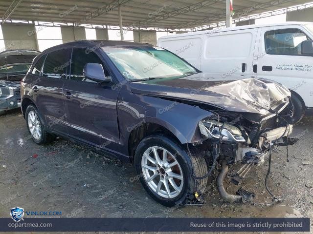Auction photo