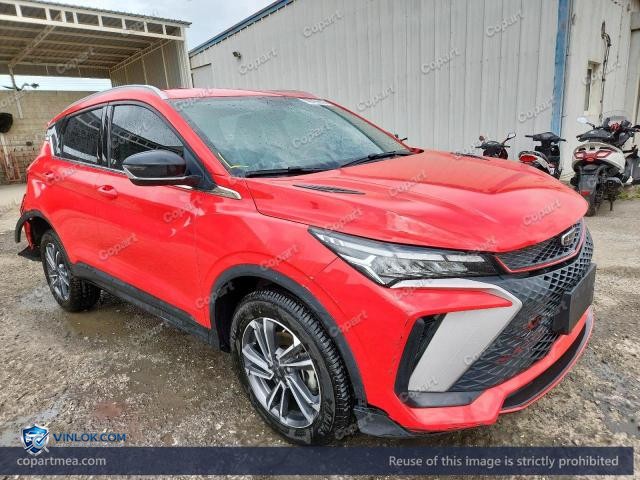 Auction photo