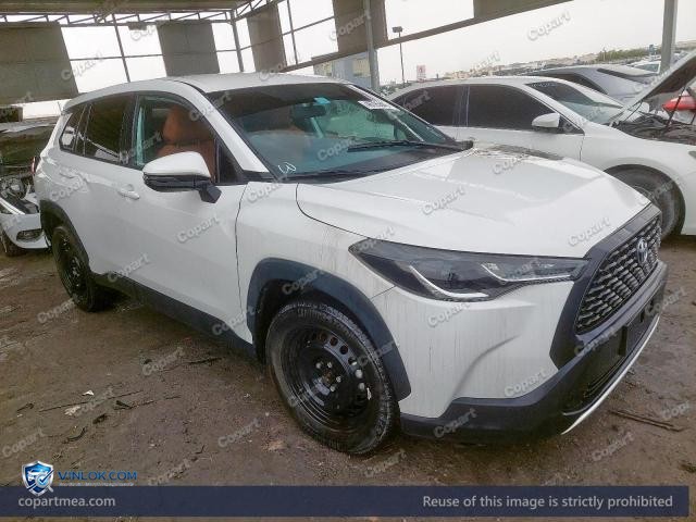Auction photo