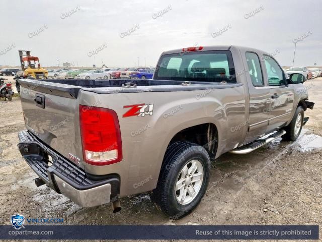 Auction photo