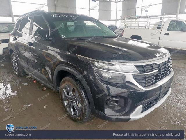 Auction photo