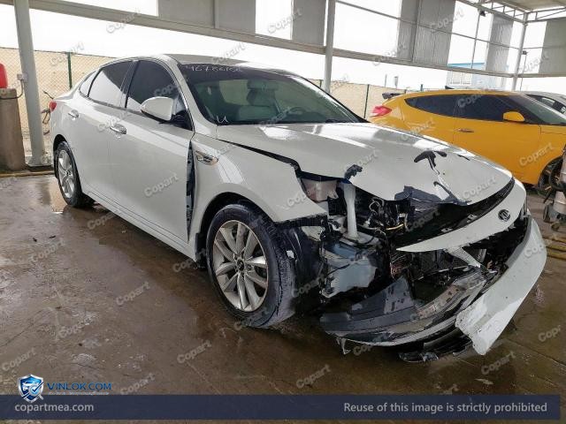 Auction photo