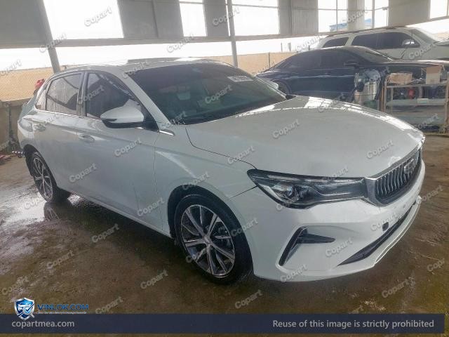 2024 GEEL EMGRAND — Lot 46786596 auction photo