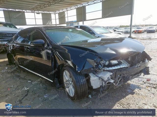 Auction photo