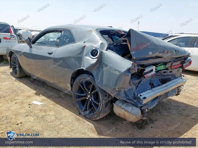 Auction photo