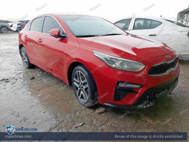 Auction photo