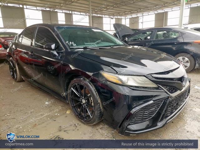 Auction photo