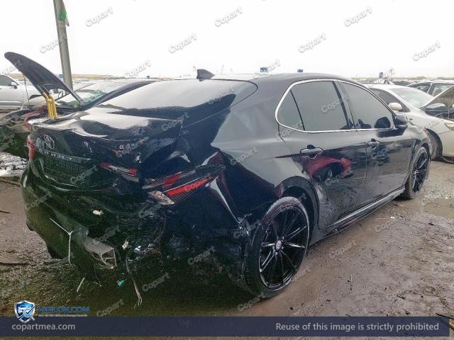 Auction photo