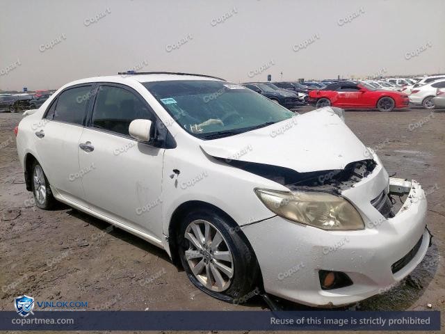 Auction photo